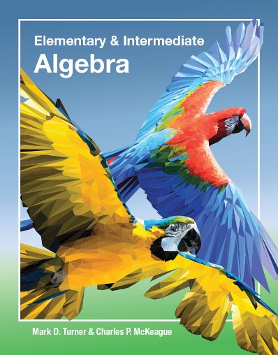 cover of Elementary and Intermediate Algebra